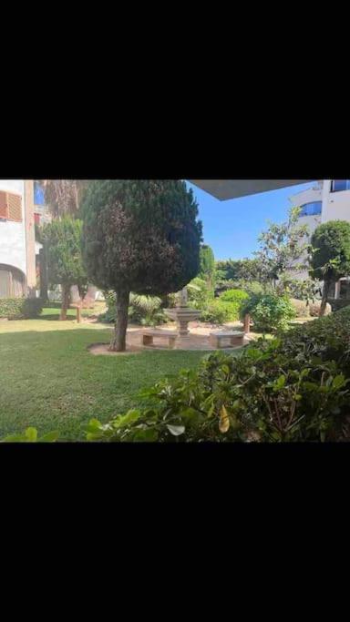 Estudio Montanar A 50 Metros Del Mar Jávea Exterior photo